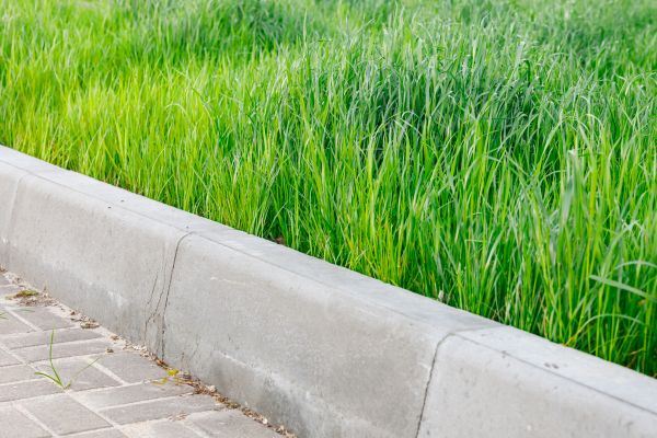 Cost of Curb Removal in Columbia